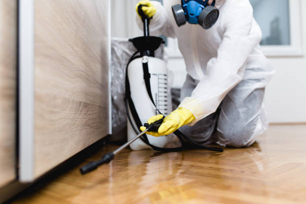 Best Rat Extermination Near Me  in Crestwood, KY