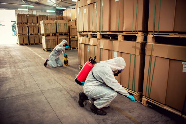 Best Pest Prevention Services  in Crestwood, KY