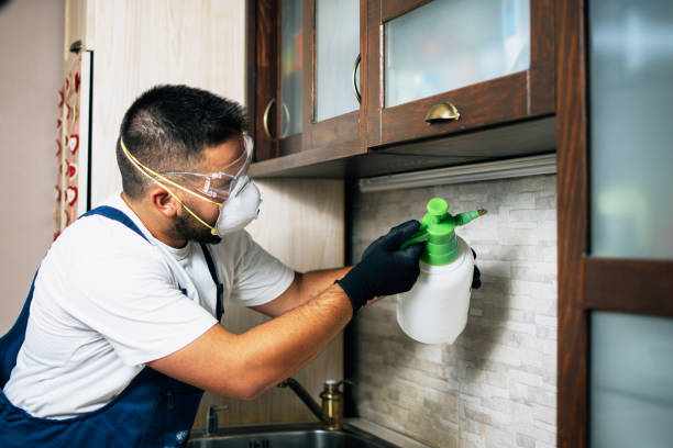 Best Pest Removal Services  in Crestwood, KY