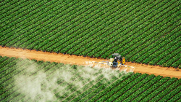 Best Mosquito Control Services  in Crestwood, KY