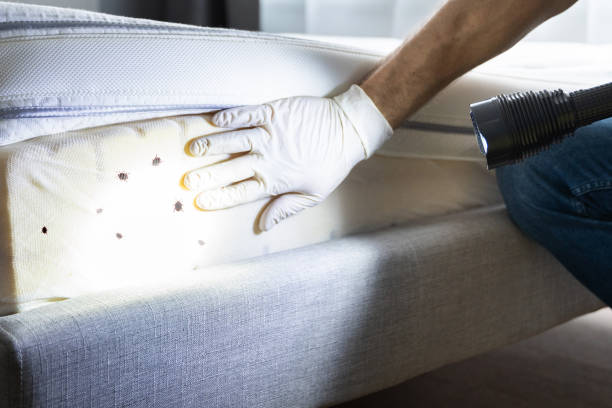 Best Residential Pest Control  in Crestwood, KY