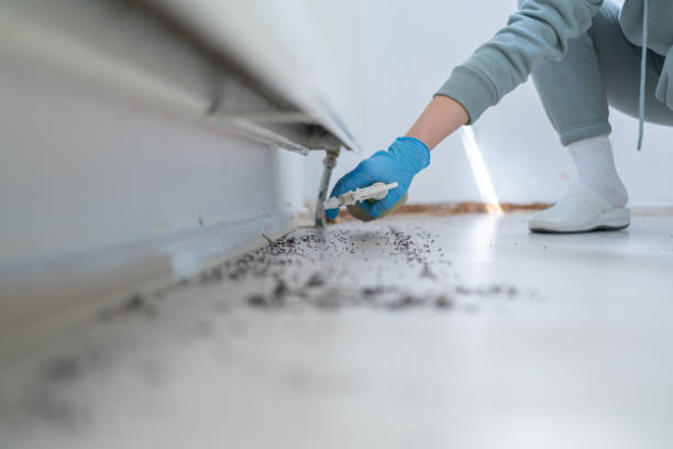 Best Affordable Pest Control Services  in Crestwood, KY